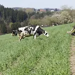 Bushof - Leben Auf Dem Land