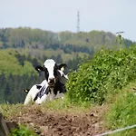 Bushof - Leben Auf Dem Land