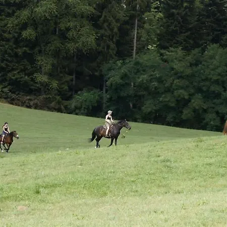 Bushof - Leben Auf Dem Land Sulzbach an der Murr