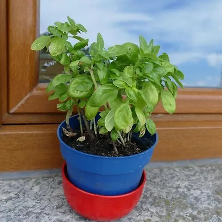 Bushof - Leben Auf Dem Land アパート Sulzbach an der Murr