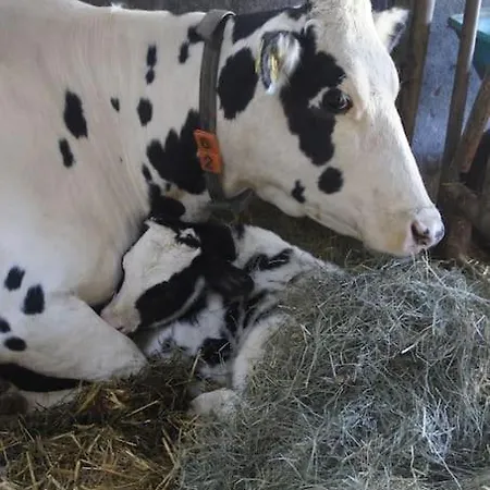 Bushof - Leben Auf Dem Land *