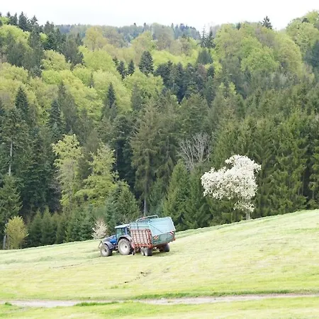 Bushof - Leben Auf Dem Land