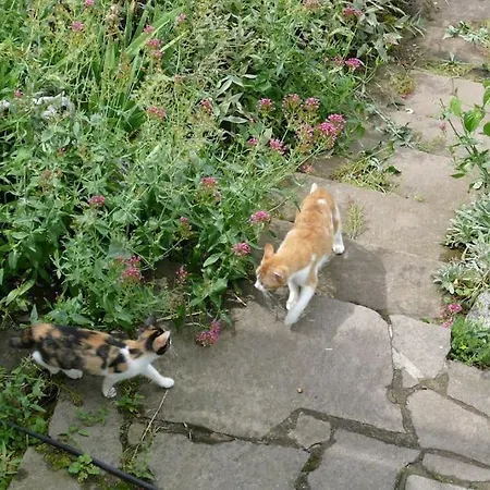 アパート Bushof - Leben Auf Dem Land *