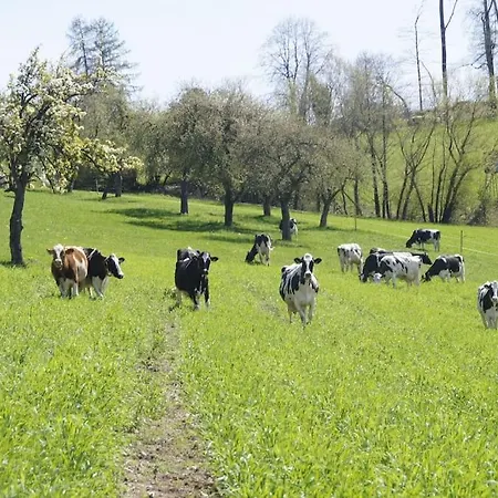 Bushof - Leben Auf Dem Land * Sulzbach an der Murr