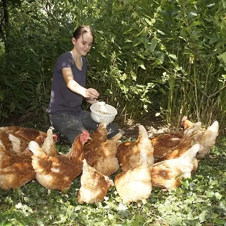 Bushof - Leben Auf Dem Land *