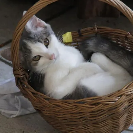 Bushof - Leben Auf Dem Land アパート *