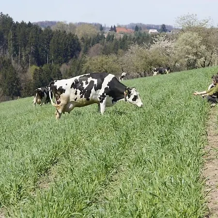 Bushof - Leben Auf Dem Land