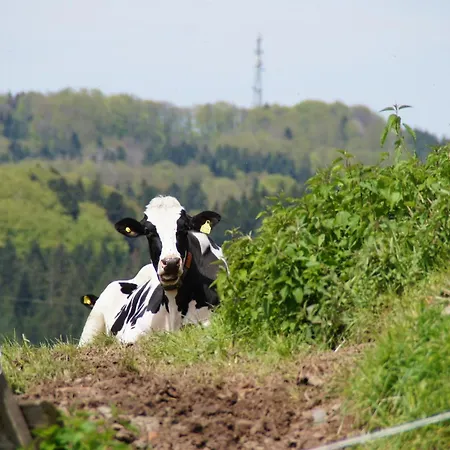 Bushof - Leben Auf Dem Land