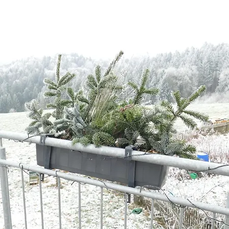 Bushof - Leben Auf Dem Land *