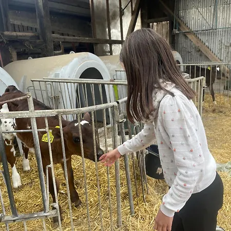 Apartman Bushof - Leben Auf Dem Land Sulzbach an der Murr