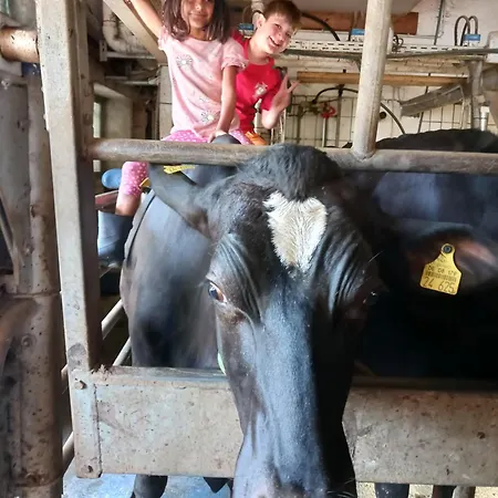 Apartman Bushof - Leben Auf Dem Land Sulzbach an der Murr
