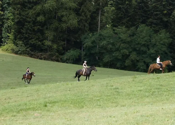 Bushof - Leben Auf Dem Land Sulzbach an der Murr