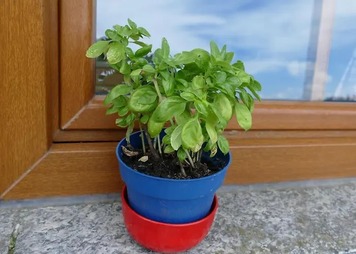 Bushof - Leben Auf Dem Land Appartement Sulzbach an der Murr