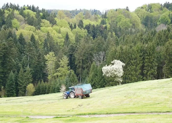 Bushof - Leben Auf Dem Land