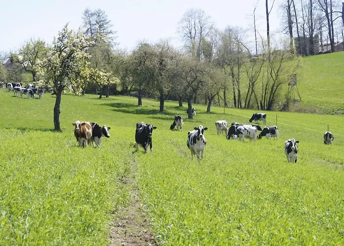 Bushof - Leben Auf Dem Land * Sulzbach an der Murr