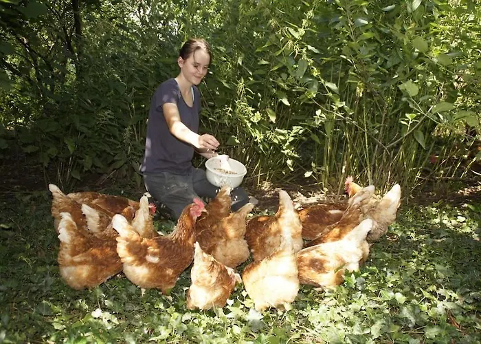 Bushof - Leben Auf Dem Land *