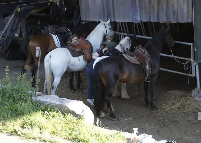 Bushof - Leben Auf Dem Land Sulzbach an der Murr