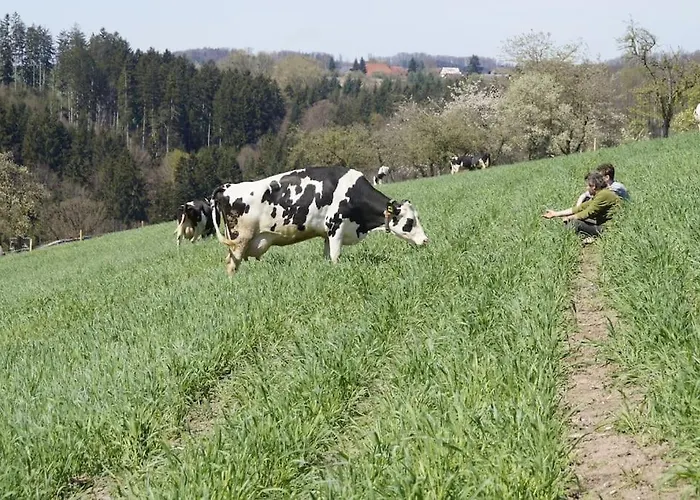 Bushof - Leben Auf Dem Land