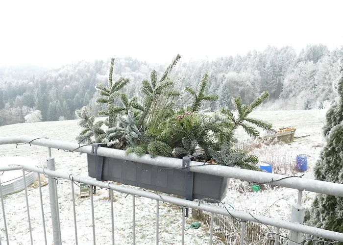 Bushof - Leben Auf Dem Land *