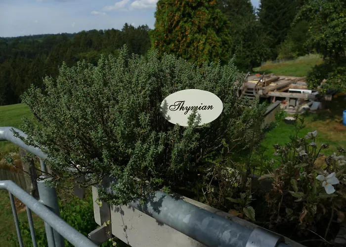 Bushof - Leben Auf Dem Land Appartement *