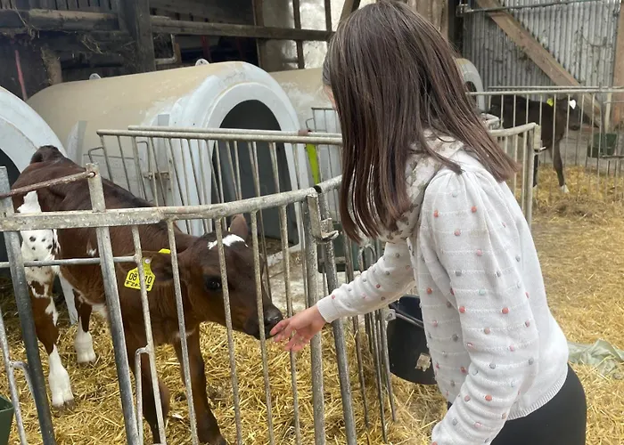 Appartement Bushof - Leben Auf Dem Land Sulzbach an der Murr